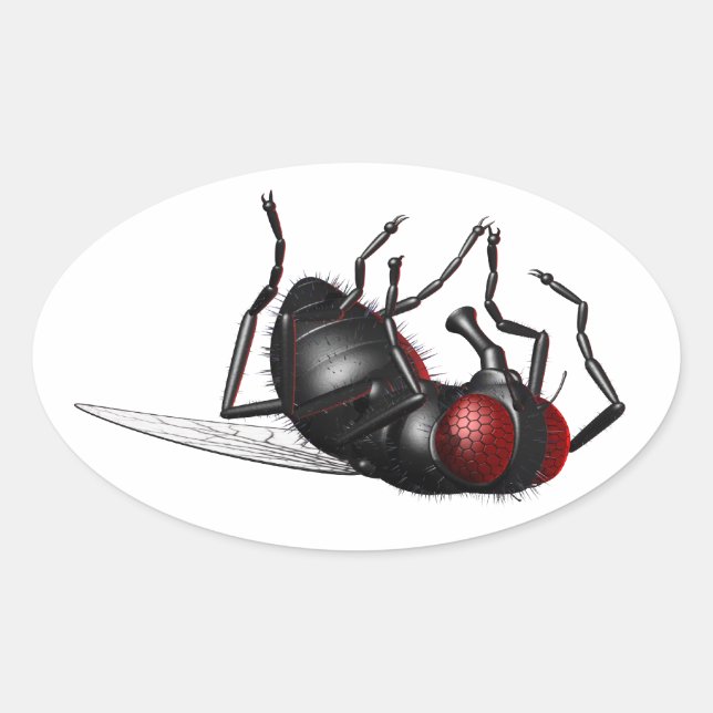 Pegatina Ovalada Mosca mordiente (Anverso)