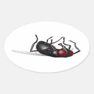 Pegatina Ovalada Mosca mordiente