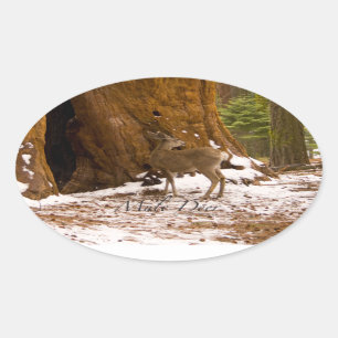 Pegatina Ovalada Mule Deer