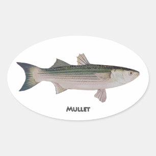 Pegatina Ovalada Mullet Fish
