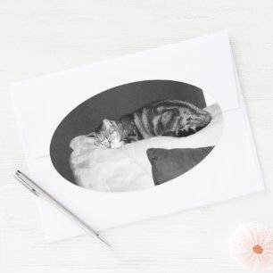 Pegatina Ovalada Nap Time For Indigo