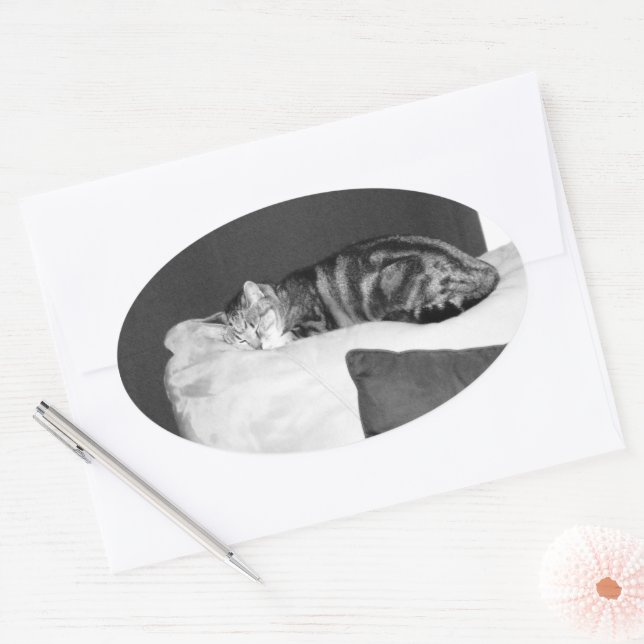 Pegatina Ovalada Nap Time For Indigo (Sobre)