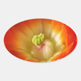 Pegatina Ovalada Naranja-Cactus-flor