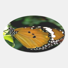 Pegatina Ovalada Naranja, mariposa negra y blanca en hojas