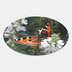 Pegatina Ovalada Naranja y mariposa negra en las flores blancas