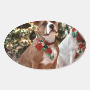Pegatina Ovalada Navidades inteligentes rescatan a Pitbull y al Bul