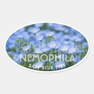 Pegatina Ovalada NEMOPHILA（Baby Blue Eyes）