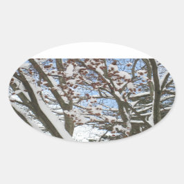 Pegatina Ovalada Nieve sobre una arce japonesa —