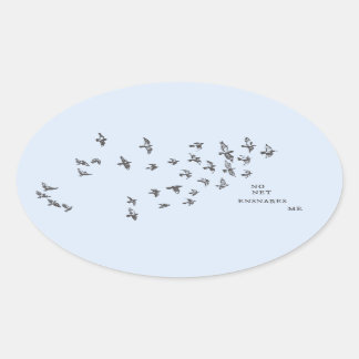 Pegatina Ovalada "Ninguna red me ensaña" + pájaros (negro sobre azu