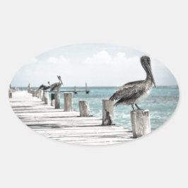 Pegatina Ovalada Océano costero pelícano