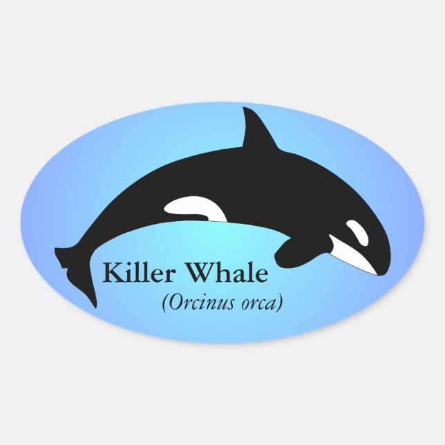 Pegatina Ovalada Orca Ballena Asesina Gradiente Azul (Anverso)