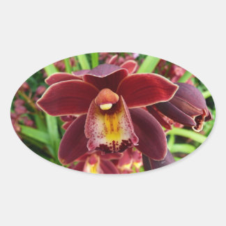 Pegatina Ovalada Orquídeas Maroon I Hermosa Floral Roja