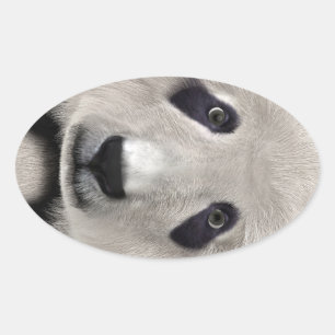 Pegatina Ovalada Oso Panda Lindo Kawaii Regalo Perfecto para Amante