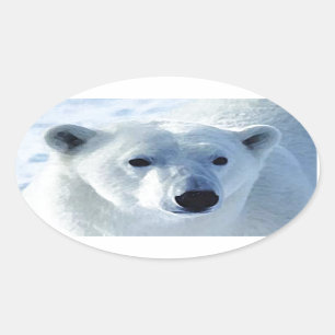 Pegatina Ovalada Oso polar