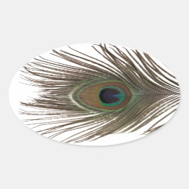 Pegatina Ovalada Ovalado de plumas de pavo real