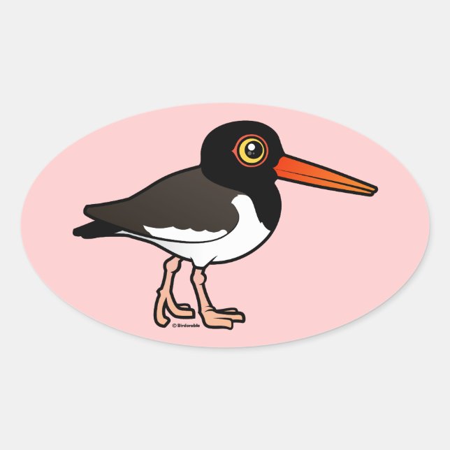 Pegatina Ovalada Oystercatcher estadounidense (Anverso)