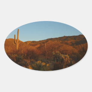Pegatina Ovalada Paisaje del desierto de Saguaro Sunset I Arizona