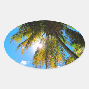 Pegatina Ovalada Palm Paradise Blue Sky Sunshine