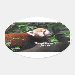 Pegatina Ovalada Panda rojo sacando la lengua