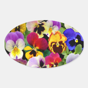 Pegatina Ovalada PANSY PATCHWORK ~ Pegatinas Oval