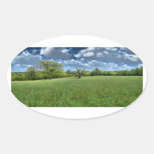 Pegatina Ovalada Pegatinas Apalaches Green