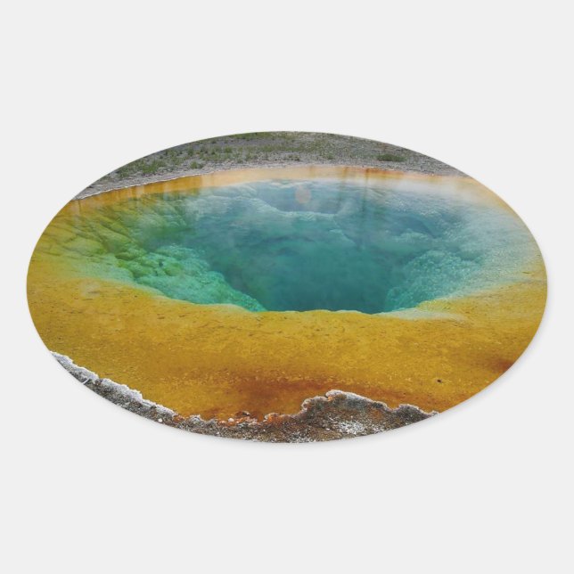 Pegatina Ovalada Pegatinas de Oval de Morning Glory Pool (Anverso)
