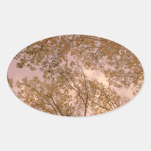 Pegatina Ovalada pegatinas del 'otoño Rosa' (Anverso)