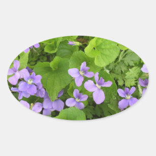Pegatina Ovalada Pegatinas - Violetas de hierba
