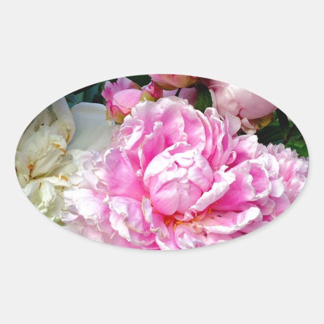 Pegatina Ovalada Peonias rosas y blancas (Anverso)