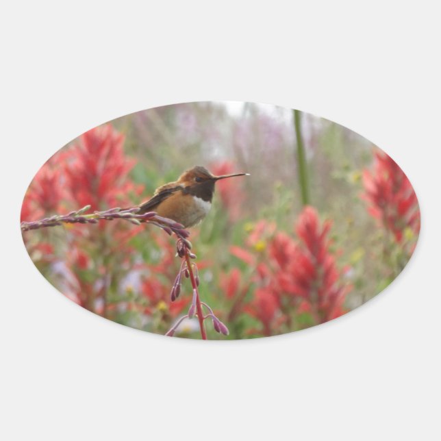 Pegatina Ovalada Pequeño pájaro gordo (Anverso)