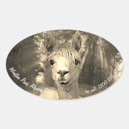 Pegatina Ovalada Perno prisionero de la alpaca del parque de