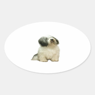 Pegatina Ovalada Perro pastor de la llanura polaca (PON) - A