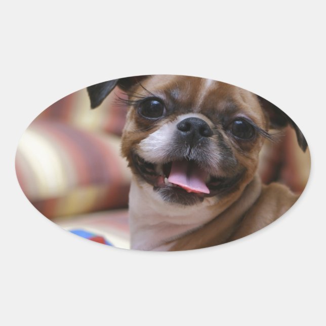 Pegatina Ovalada Perro supercutto con su bola favorita (Anverso)