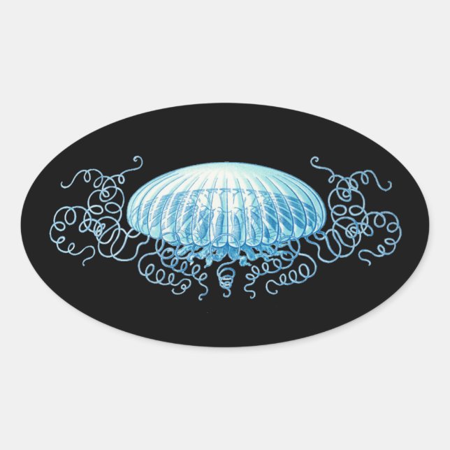 Pegatina Ovalada Personalizable Haeckel Jellyfish (Anverso)
