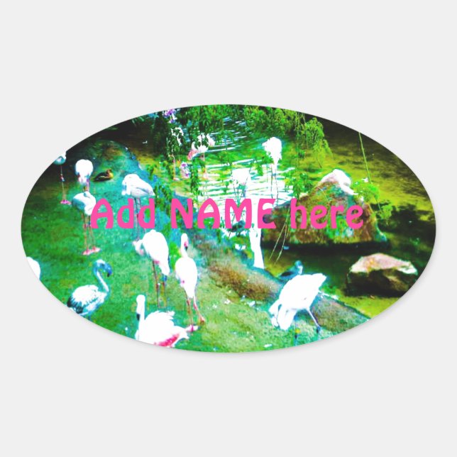 Pegatina Ovalada Personalizado de Aves Flamingo Rosa (Anverso)
