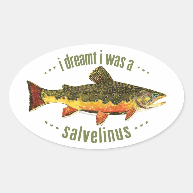 Pegatina Ovalada Pesca de truchas humorísticas (Anverso)