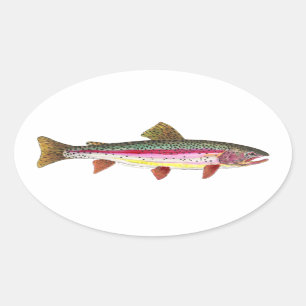 Pegatina Ovalada Pescado de trucha arco iris