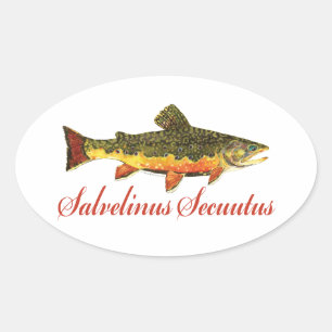 Pegatina Ovalada Pescado humorístico, pesca, pesca con mosca