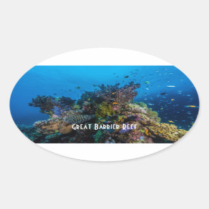 Pegatina Ovalada Pescado Tropical Gran Barrera de Coral de Arrecife
