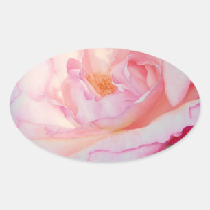 Pegatina Ovalada Pétalos de rosa rosa rosa color de agua