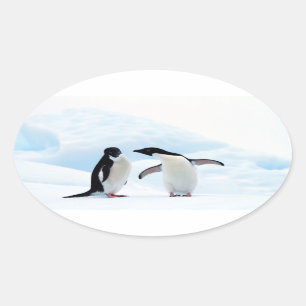 Pegatina Ovalada Pingüinos Adelie