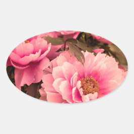 Pegatina Ovalada Pink  Peony Flower
