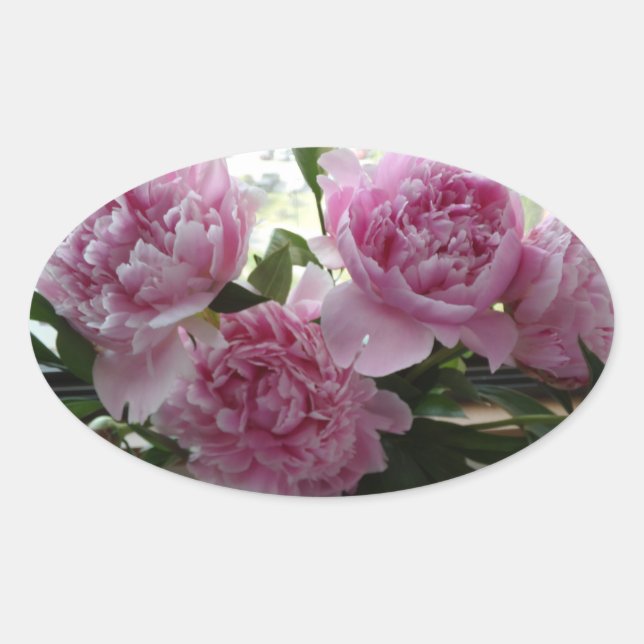 Pegatina Ovalada Pink Peony Stickers (Anverso)