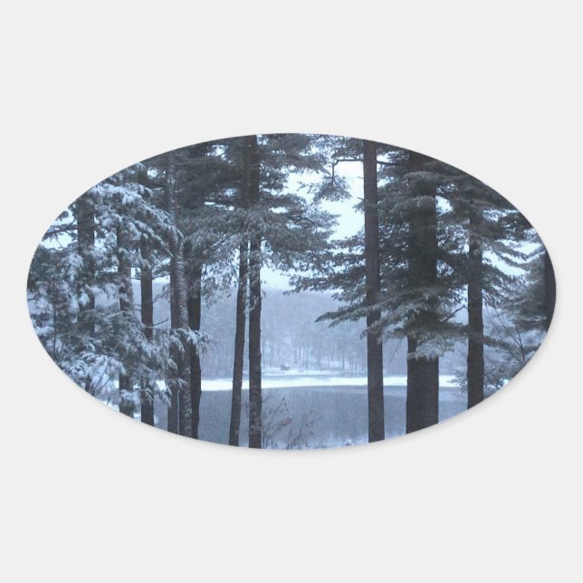Pegatina Ovalada Pinos blancos con luz azul — (Anverso)