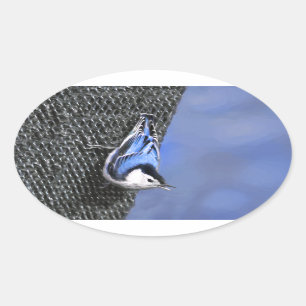 Pegatina Ovalada Pintura de pájaro original pintada con nuez blanc