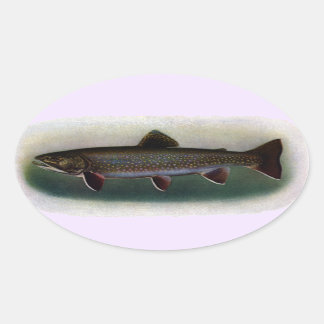 Pegatina Ovalada Pintura del este de la trucha de arroyo