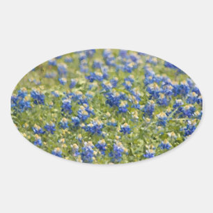 Pegatina Ovalada Pintura digital de Bluebonnets de Texas Wildflower