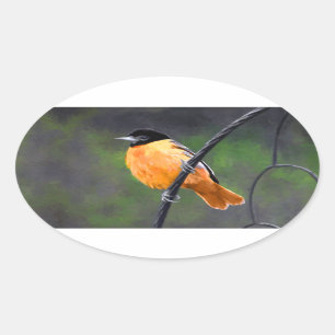 Pegatina Ovalada Pintura Oriole - Arte original de aves