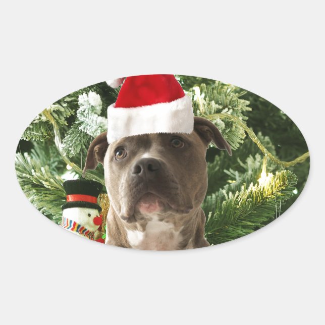 Pegatina Ovalada Pitbull Perro Árbol de Navidad Ornamentos Snowman (Anverso)