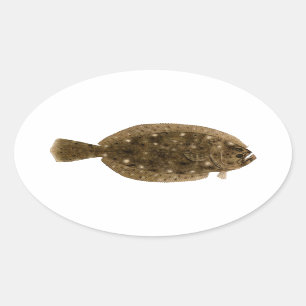 Pegatina Ovalada Platija - platija de verano